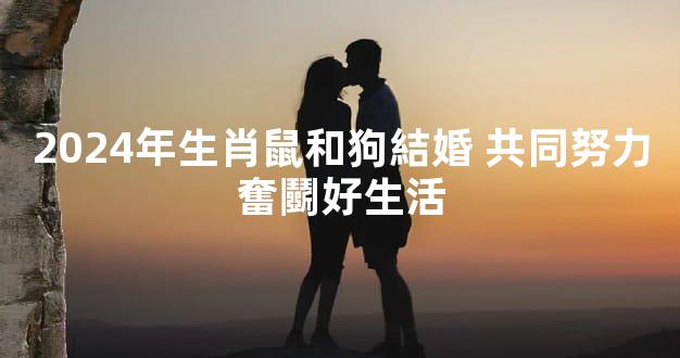 2024年生肖鼠和狗結婚 共同努力奮鬭好生活